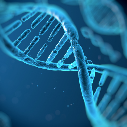 Schmerztherapie_Gene